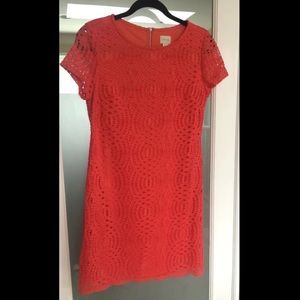 Orange dress- bought for wedding never worn